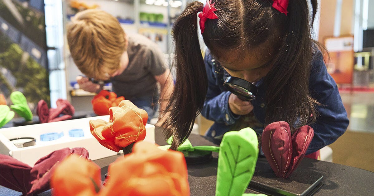 Young girl using a magnifying glass to examine fabric-flower models at an interactive exhibit, with a boy exploring in the background.